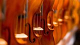 Doação de instrumentos de cordas – IMIF